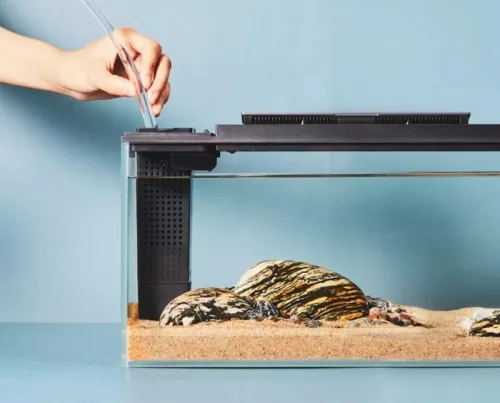 Умный аквариум Petkit Origin Intelligent Fish Tank 10L фото 2