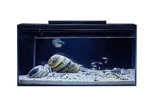 Умный аквариум Petkit Origin Intelligent Fish Tank + landscaping silence stone set 10L 
