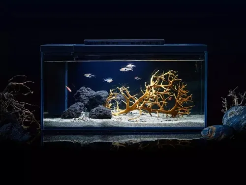 Умный аквариум Petkit Origin Intelligent Fish Tank + landscape twilight jump shadow suit 10L фото 3