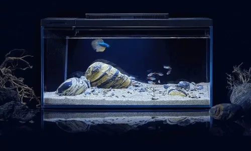Умный аквариум Petkit Origin Intelligent Fish Tank + landscaping silence stone set 10L фото 2