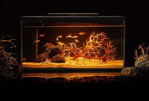 Умный аквариум Petkit Origin Intelligent Fish Tank + landscape twilight jump shadow suit 10L фото 2