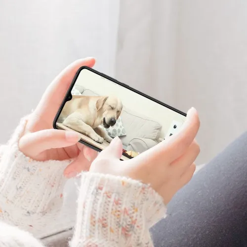 Снек-машина Xiaomi Pawbby Smart Pet (MG-PSM001) фото 5
