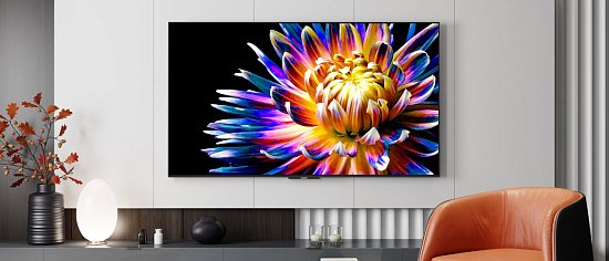 Потрясающий воображение OLED Vision TV