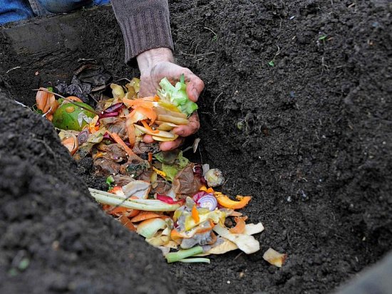 Экологично избавляемся от пищевых отходов
